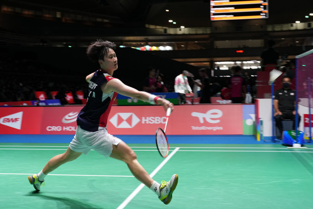 马立足提供 马立足提供