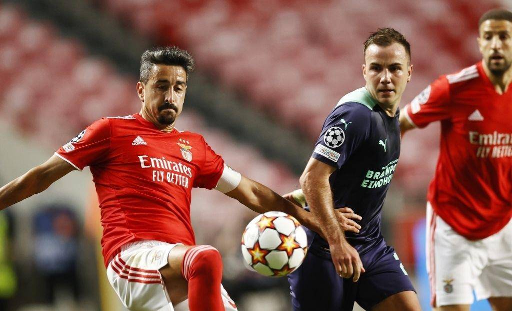 透和侧翼突 透和侧翼突